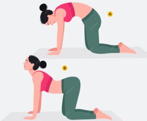 back exercises for women